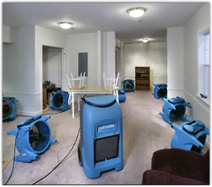 Water Mitigation Services in San Tan Valley, AZ