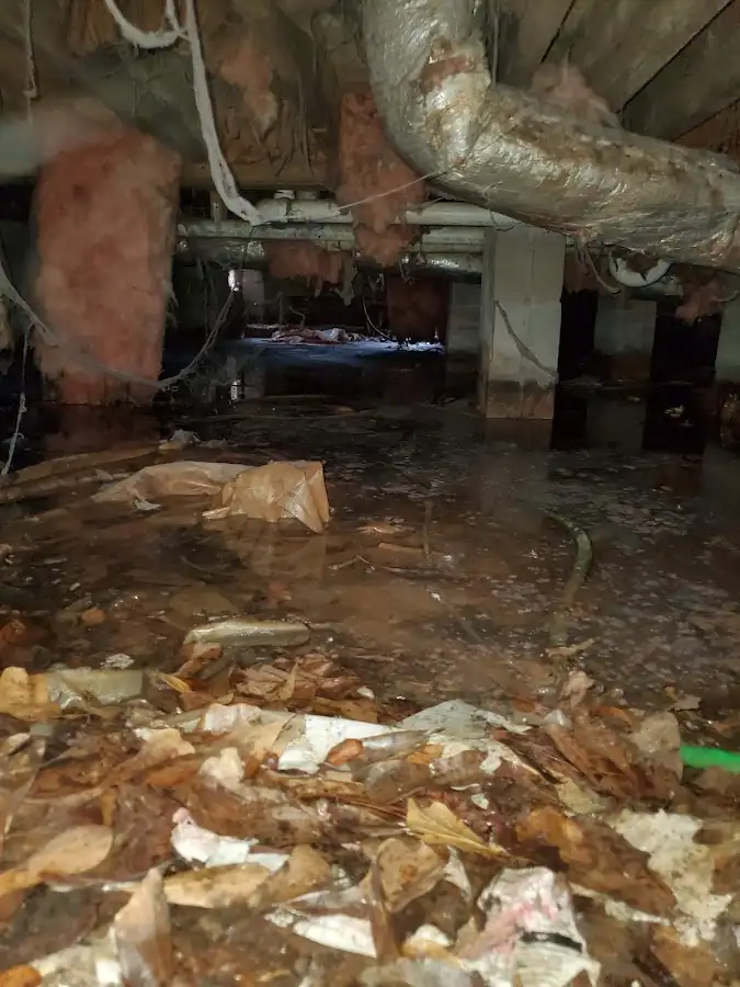 Crawl space flood assessment for Leak Detection & Repair in San Tan Valley